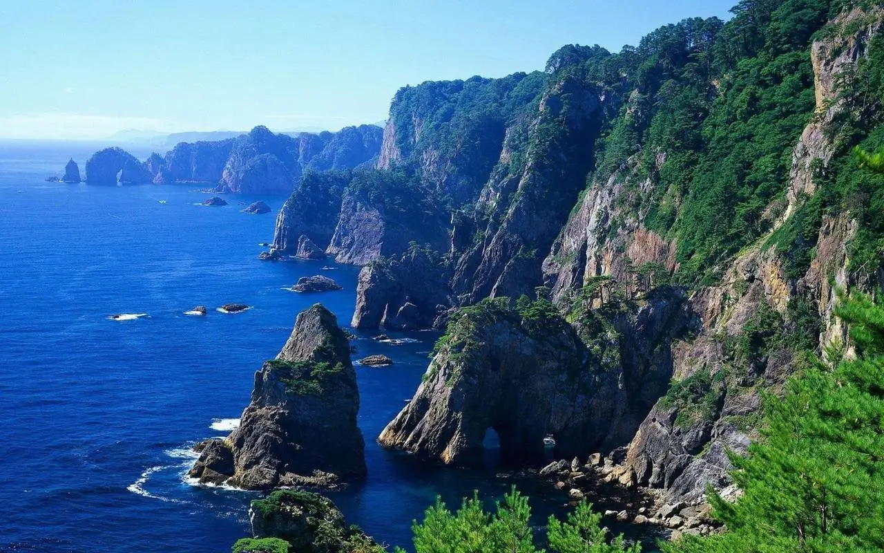 全自动高标准
